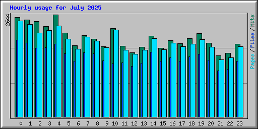 Hourly usage for July 2025