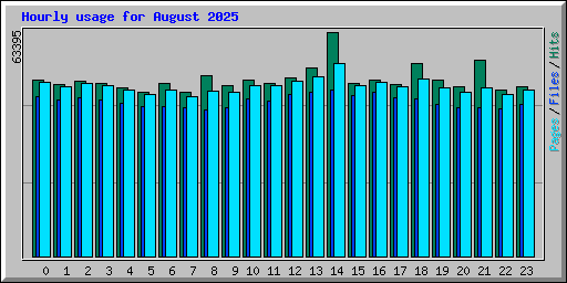 Hourly usage for August 2025